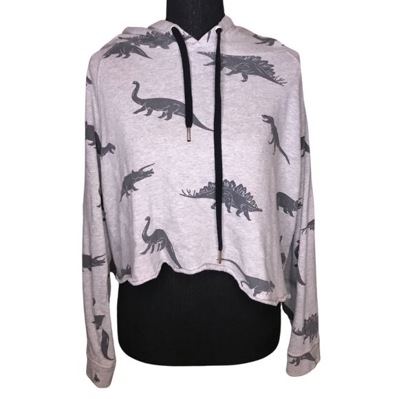 Grey Crop Dinosaur Hoodie - Picture 1 of 4